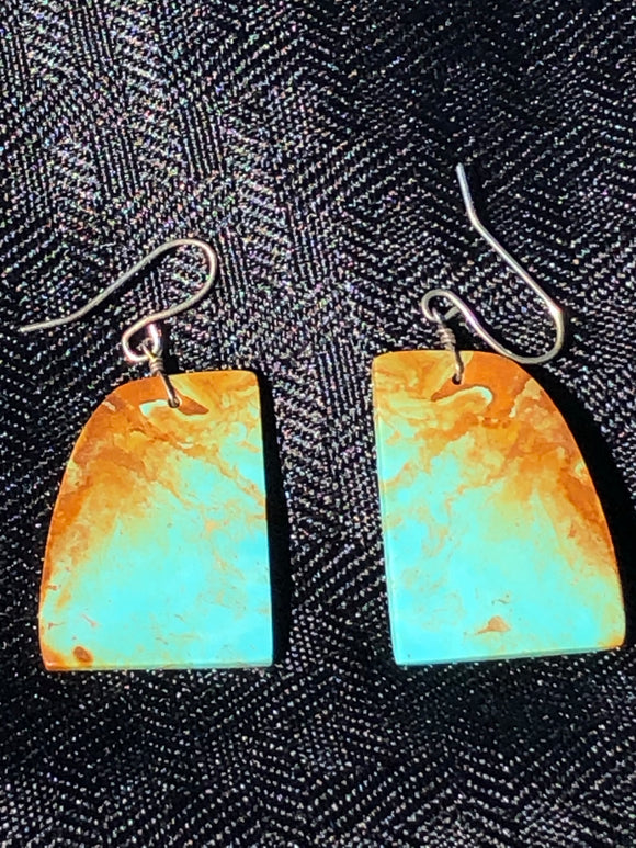 Turquoise Native Earrings